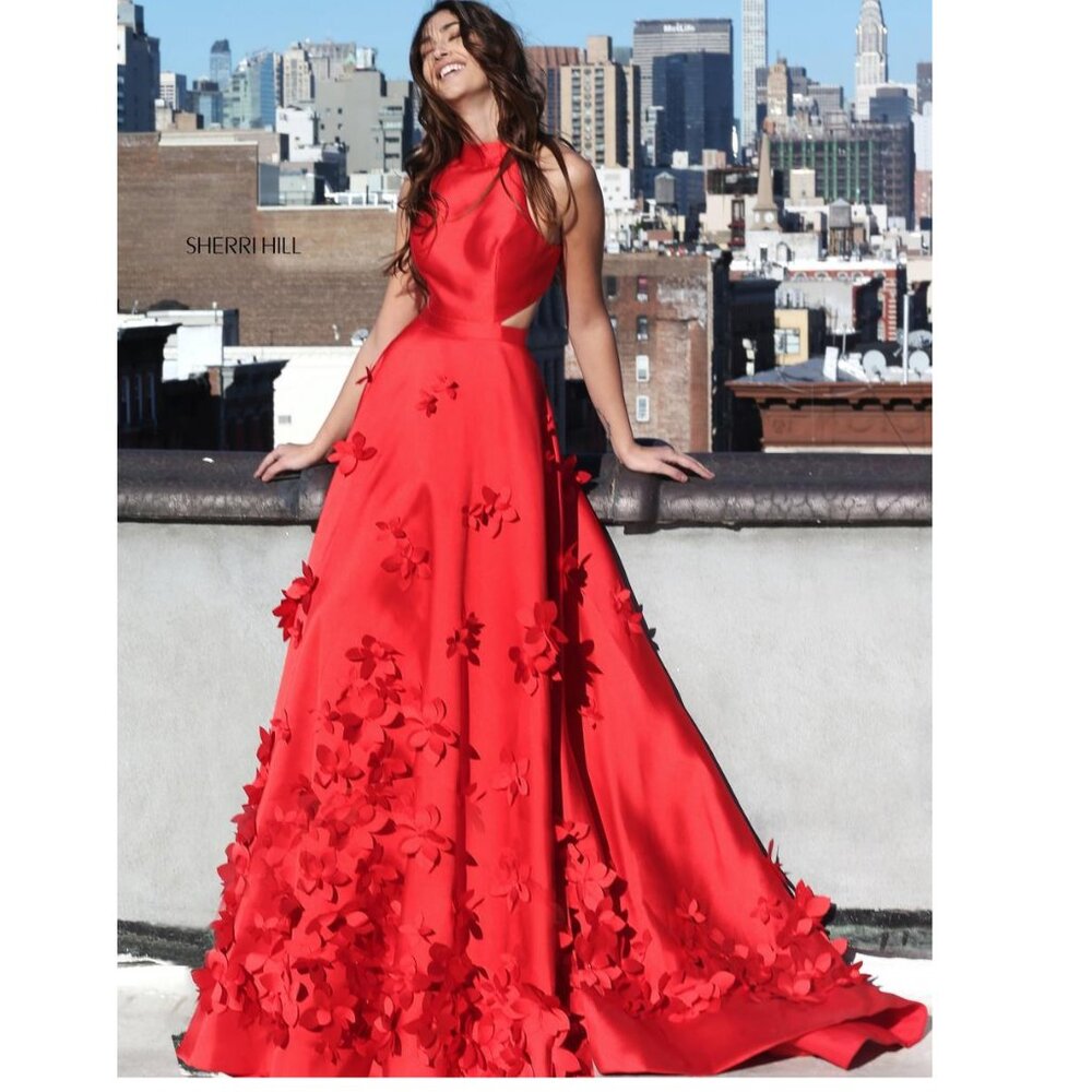 SHERRI HILL Formal Dress Sleeveless A-Line Gown Flower Petal Appliques Red Sz  2 - Picture 2 of 14